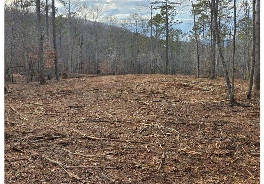 34 Acres of Recreational & Residential Land for Sale in Canton, Georgia