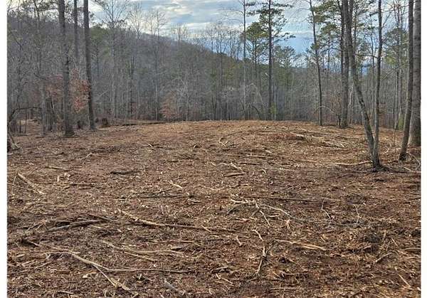 34 Acres of Recreational & Residential Land for Sale in Canton, Georgia