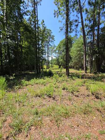 0.31 Acres of Residential Land for Sale in Southport, North Carolina
