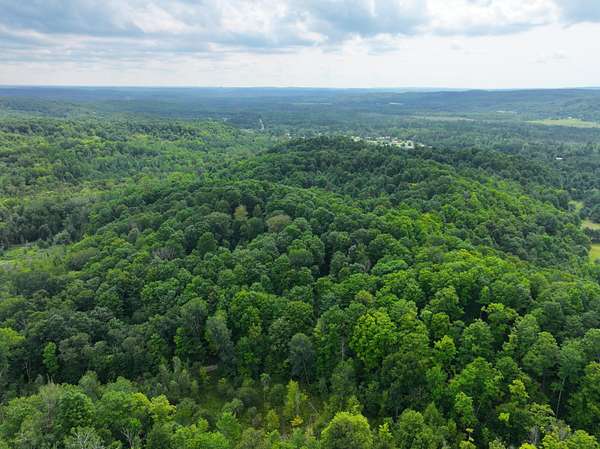 40 Acres of Recreational Land for Sale in East Jordan, Michigan