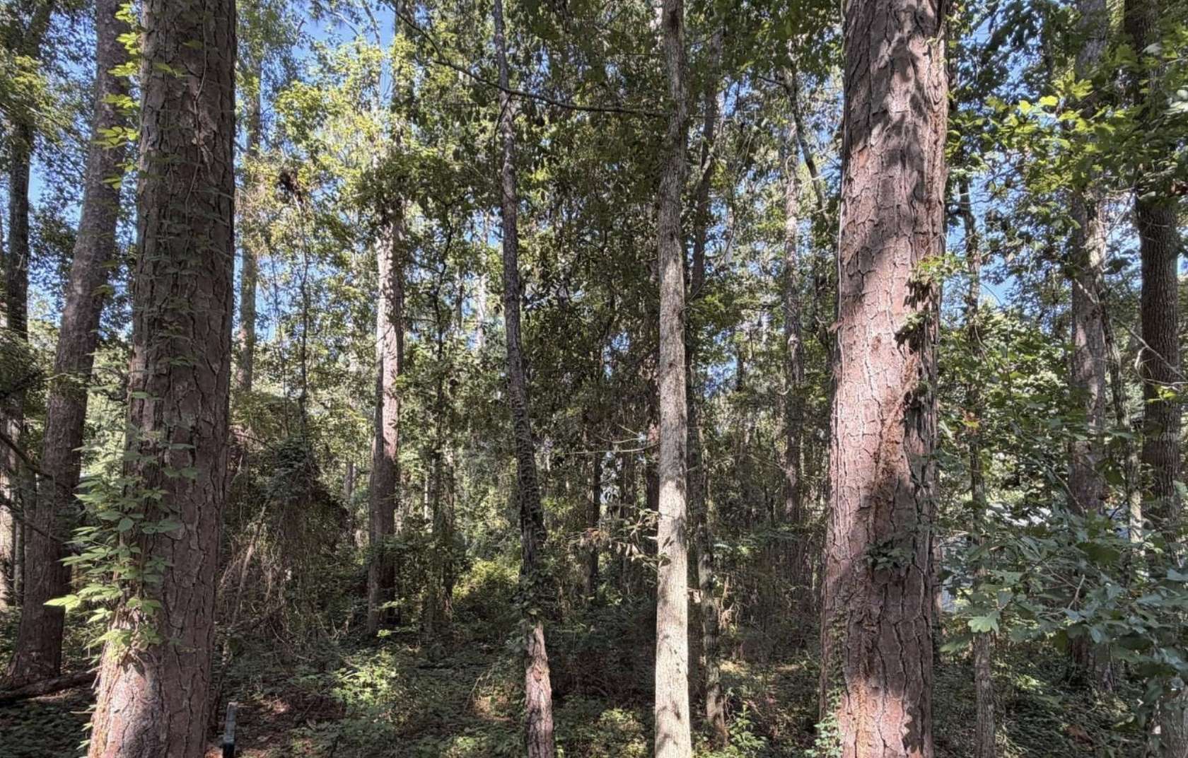 0.28 Acres of Residential Land for Sale in Tallahassee, Florida