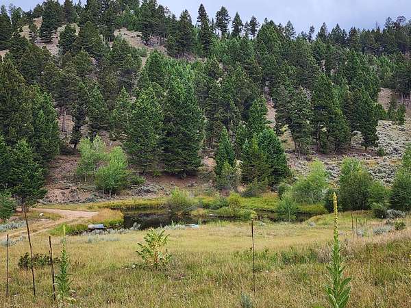 19 Acres of Land for Sale in Basin, Montana