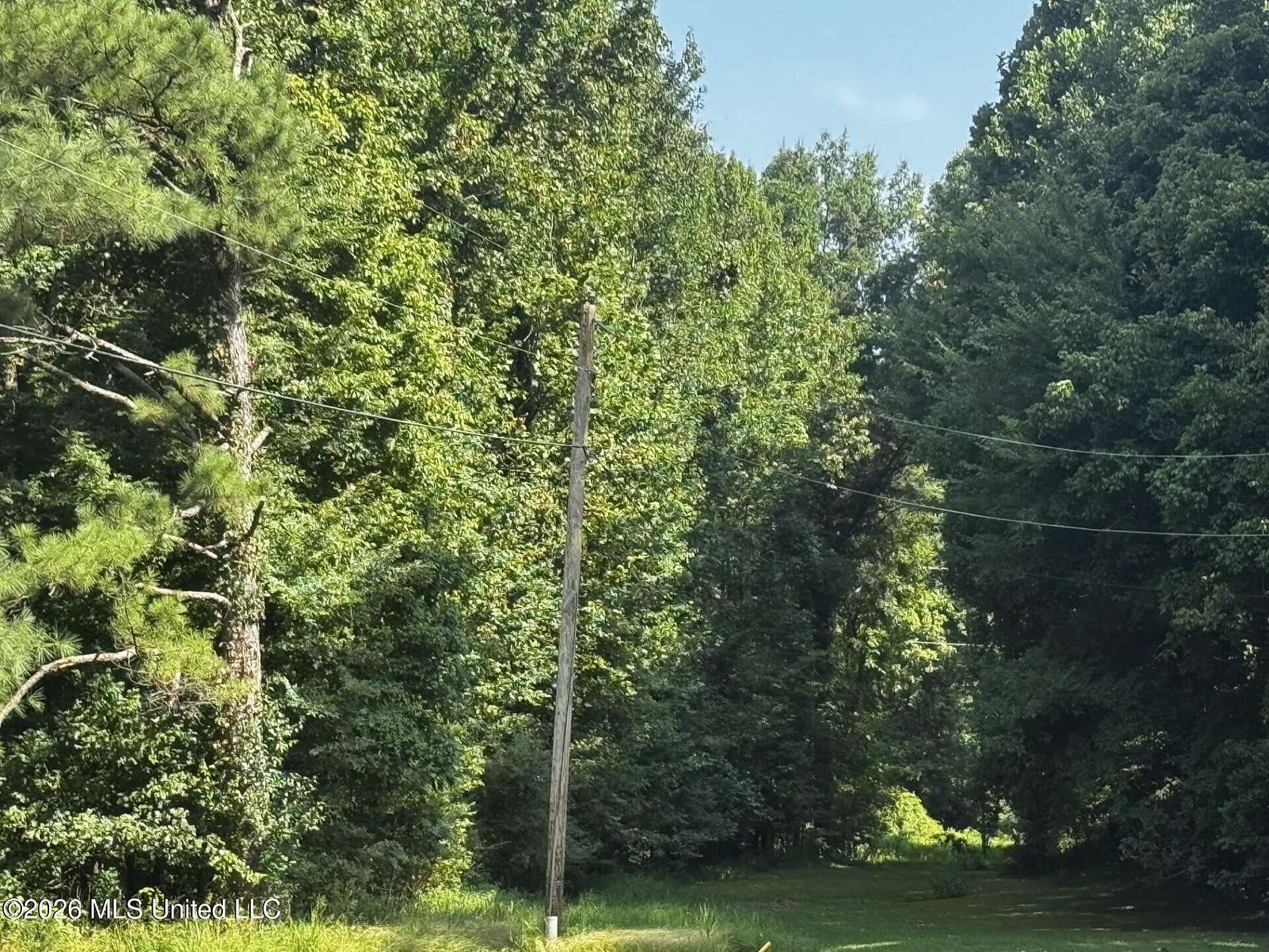 13 Acres of Recreational Land for Sale in Byhalia, Mississippi