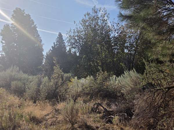 0.24 Acres of Residential Land for Sale in Chiloquin, Oregon