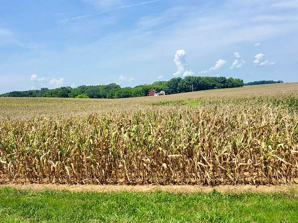 129 Acres of Land for Sale in Franklin, Kentucky