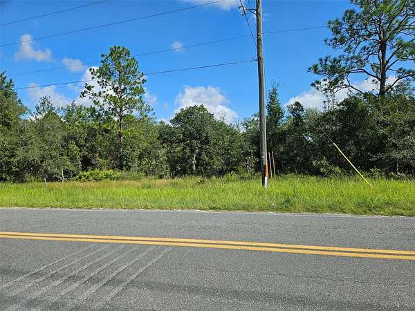 0.49 Acres of Land for Sale in Bronson, Florida