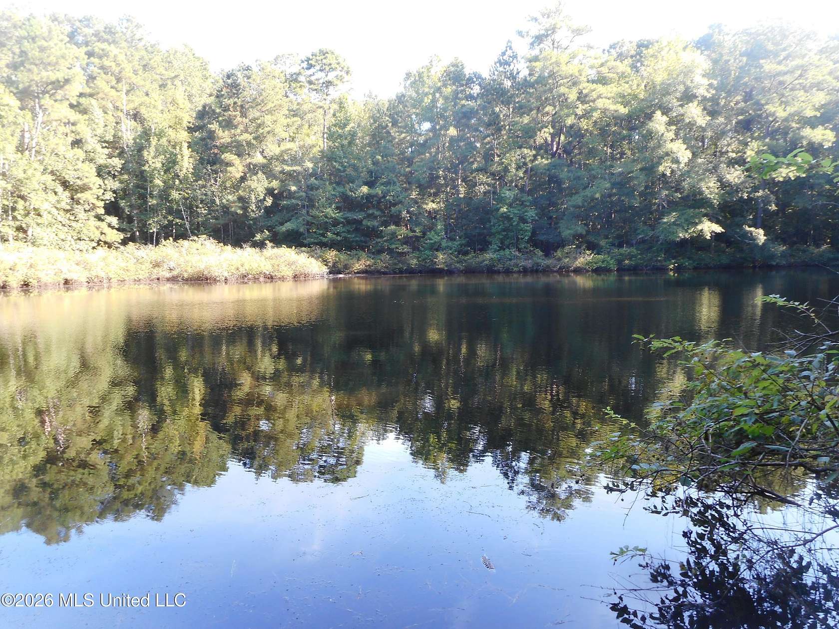 122 Acres of Recreational & Residential Land for Sale in Philadelphia, Mississippi