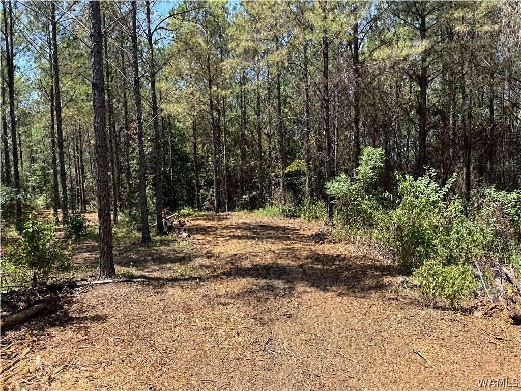 101 Acres of Recreational & Residential Land for Sale in Fayette, Alabama