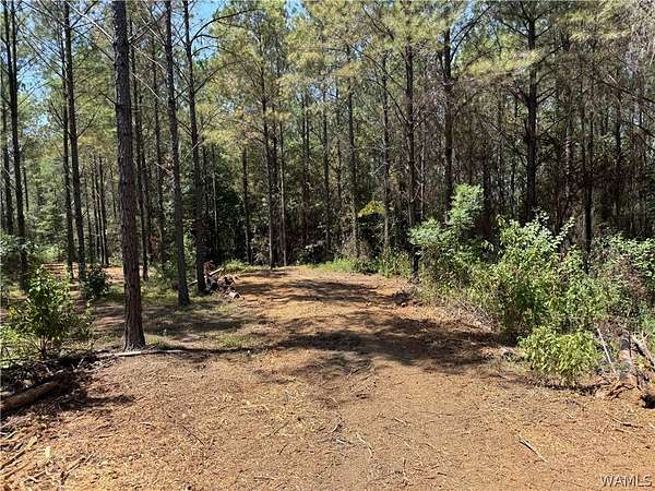 101 Acres of Recreational & Residential Land for Sale in Fayette, Alabama
