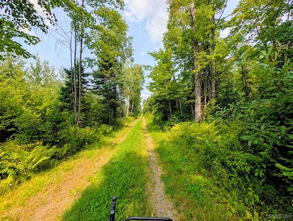 160 Acres of Recreational Land for Sale in Iron River, Michigan