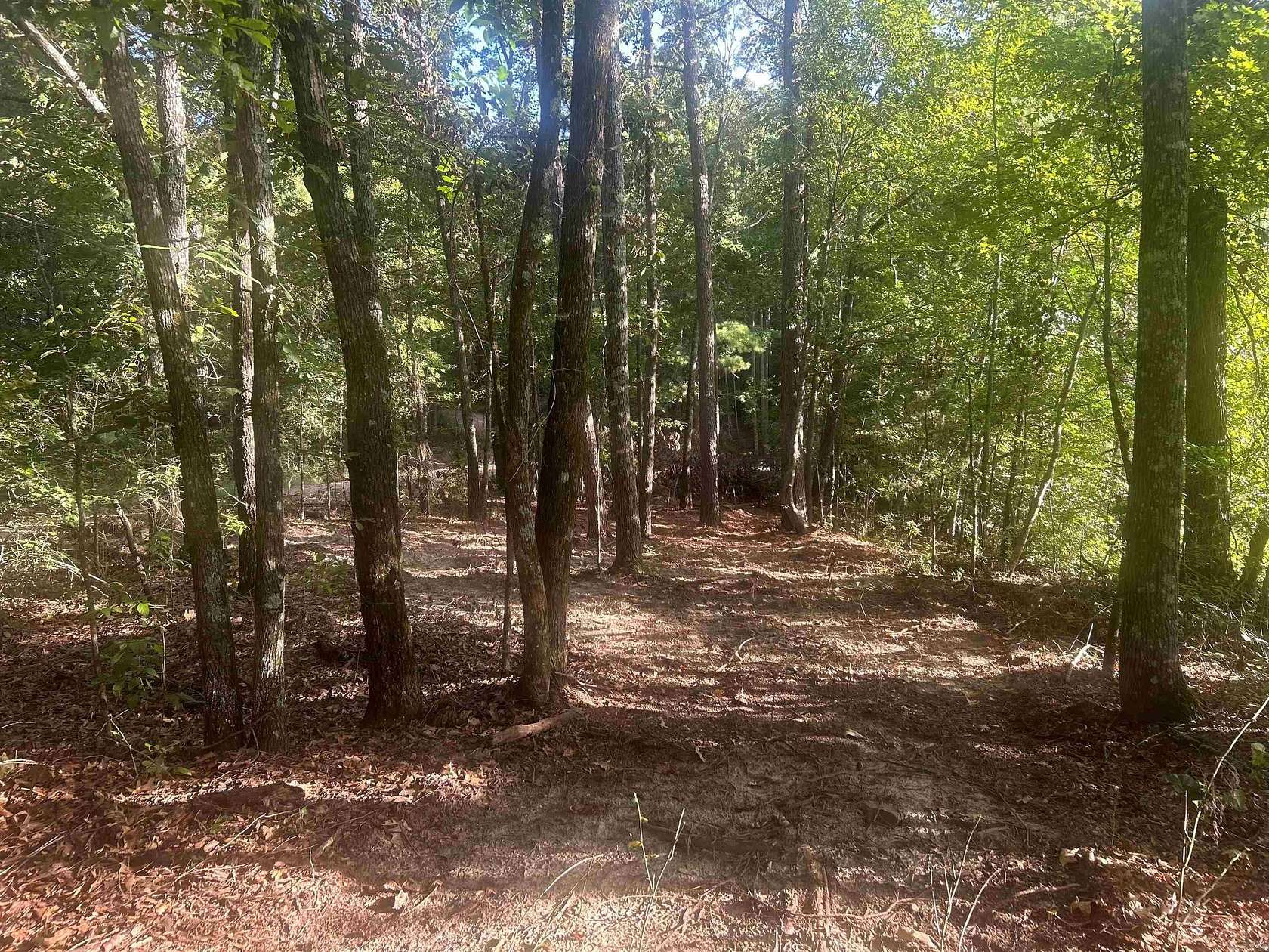 16 Acres of Recreational Land for Sale in Amity, Arkansas