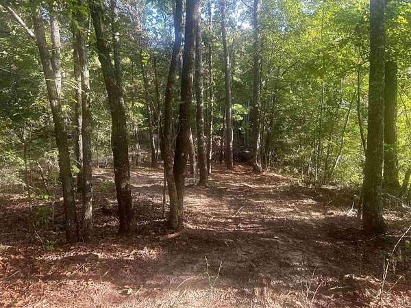 16 Acres of Recreational Land for Sale in Amity, Arkansas