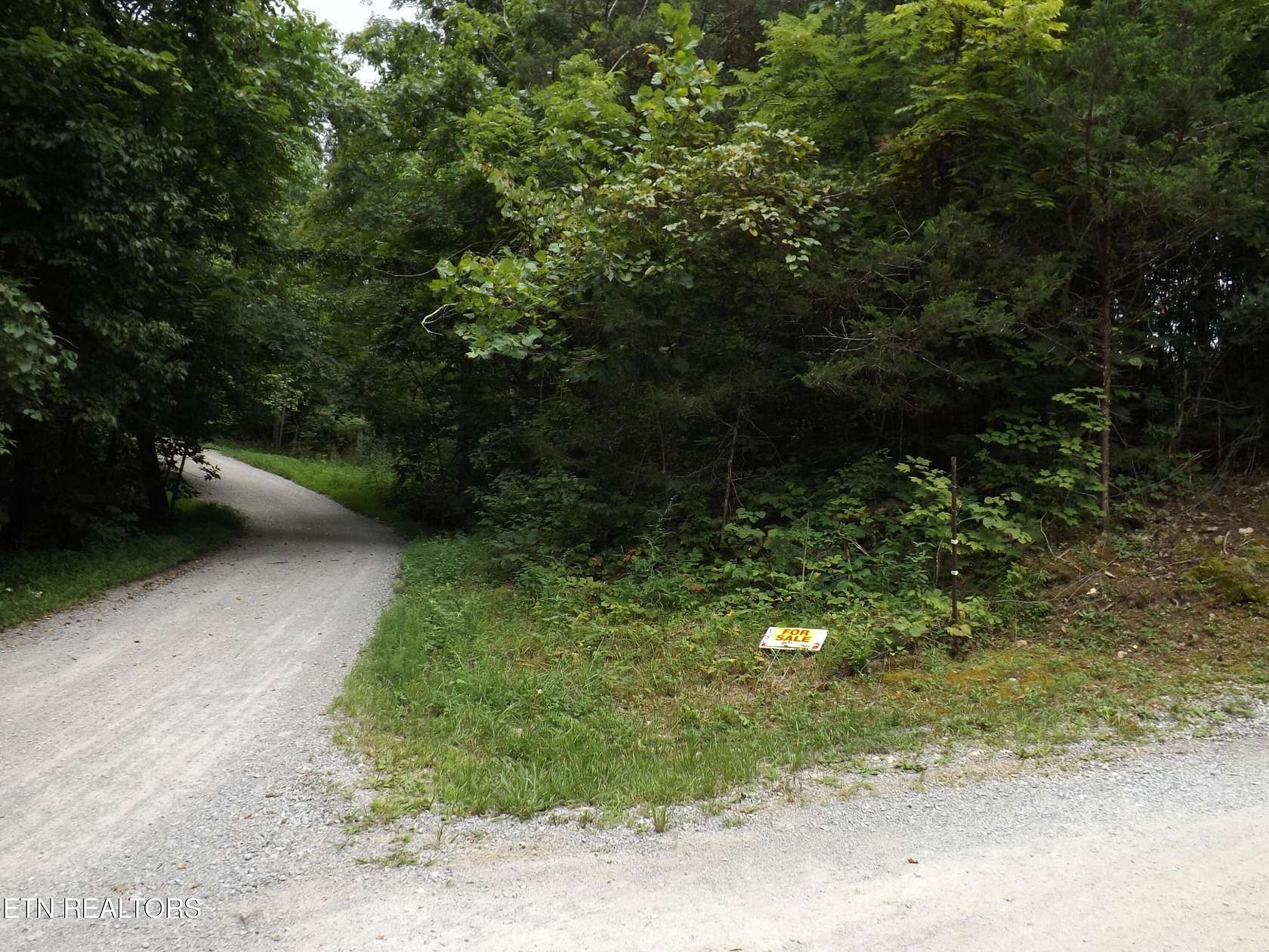 13.3 Acres of Land for Sale in New Tazewell, Tennessee