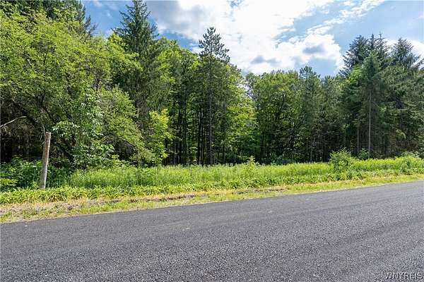0.71 Acres of Mixed-Use Land for Sale in Concord, New York