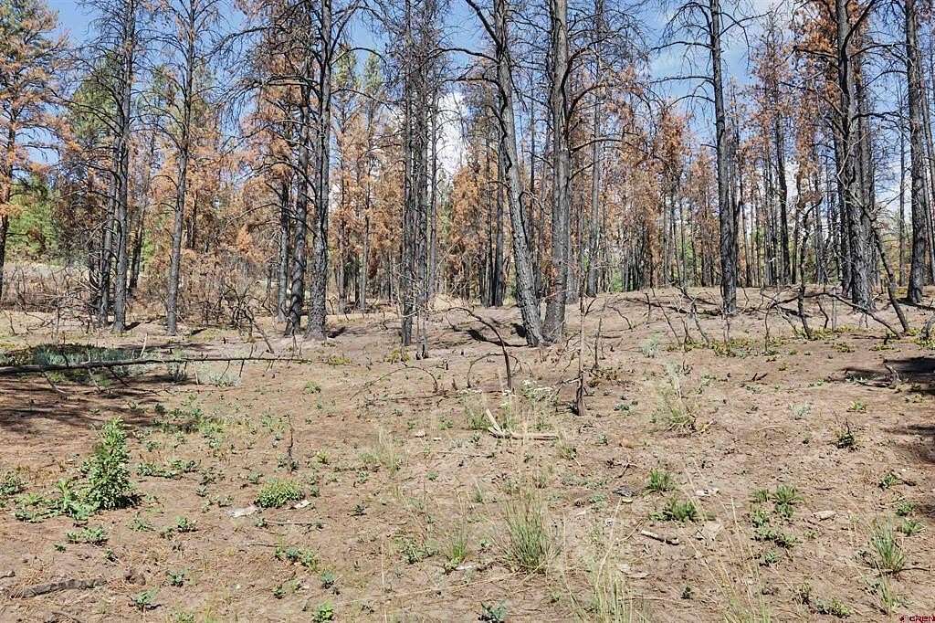 1.59 Acres of Residential Land for Sale in Pagosa Springs, Colorado