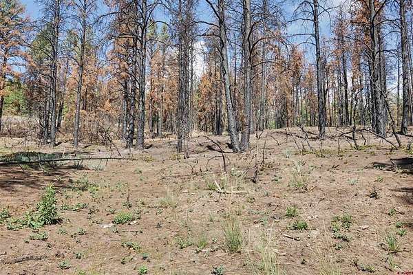 1.59 Acres of Residential Land for Sale in Pagosa Springs, Colorado