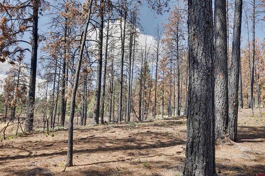 1.58 Acres of Residential Land for Sale in Pagosa Springs, Colorado