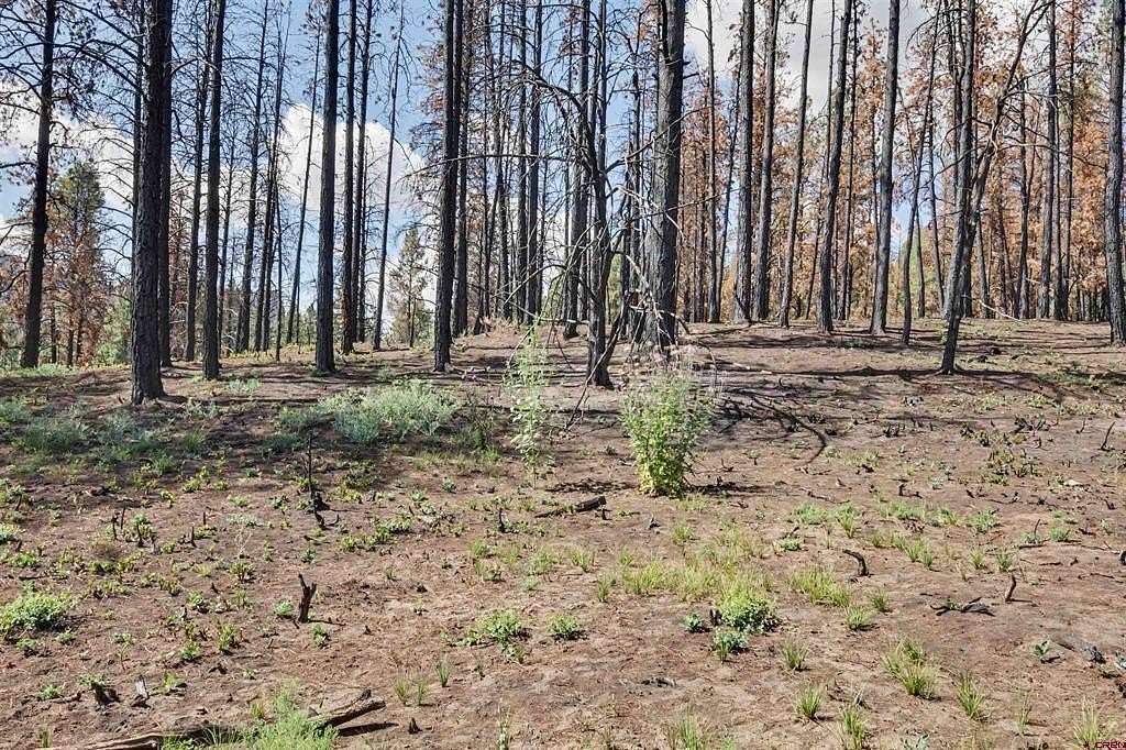 3.17 Acres of Land for Sale in Pagosa Springs, Colorado