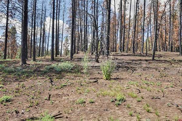 3.17 Acres of Land for Sale in Pagosa Springs, Colorado