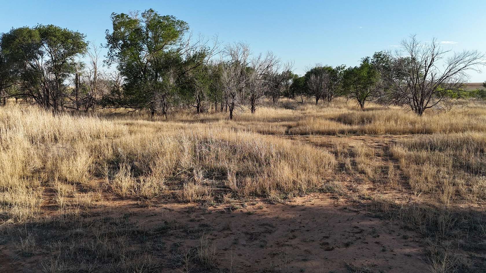 29.9 Acres of Land for Sale in Lubbock, Texas