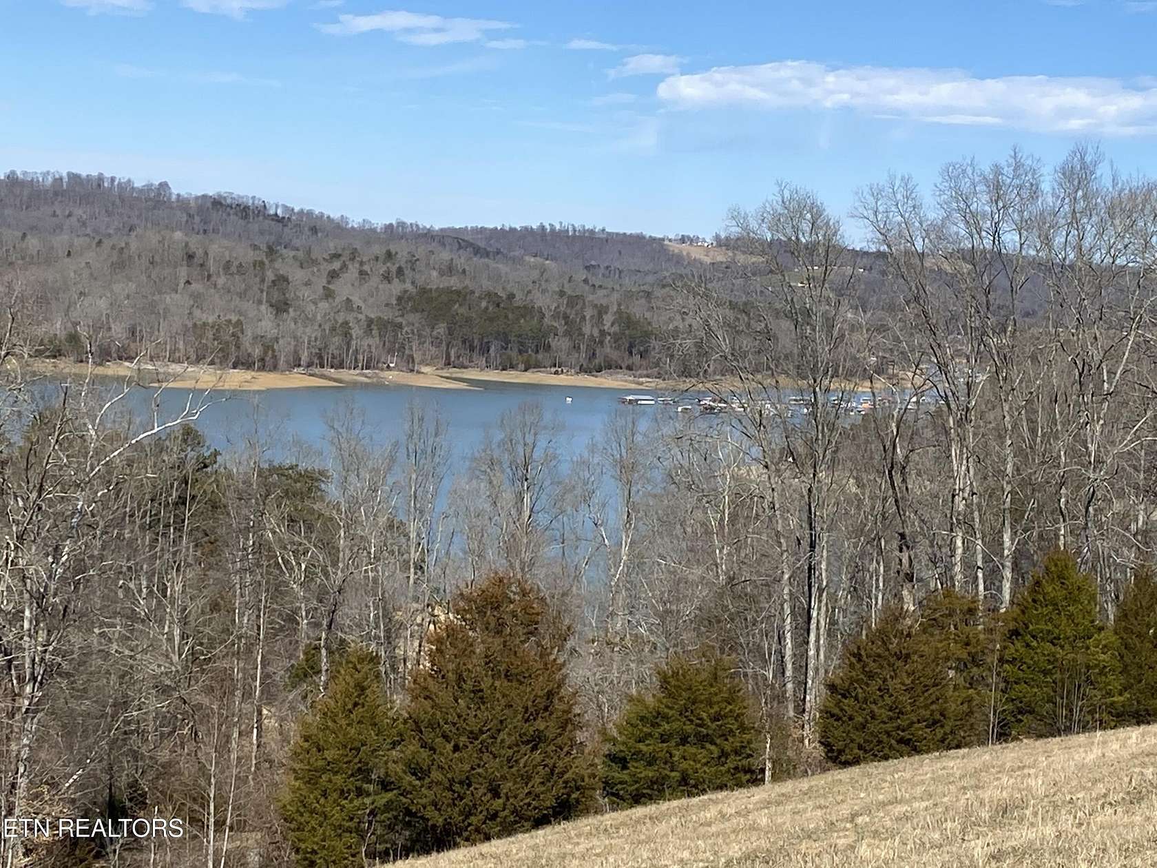 1 Acre of Residential Land for Sale in Maynardville, Tennessee