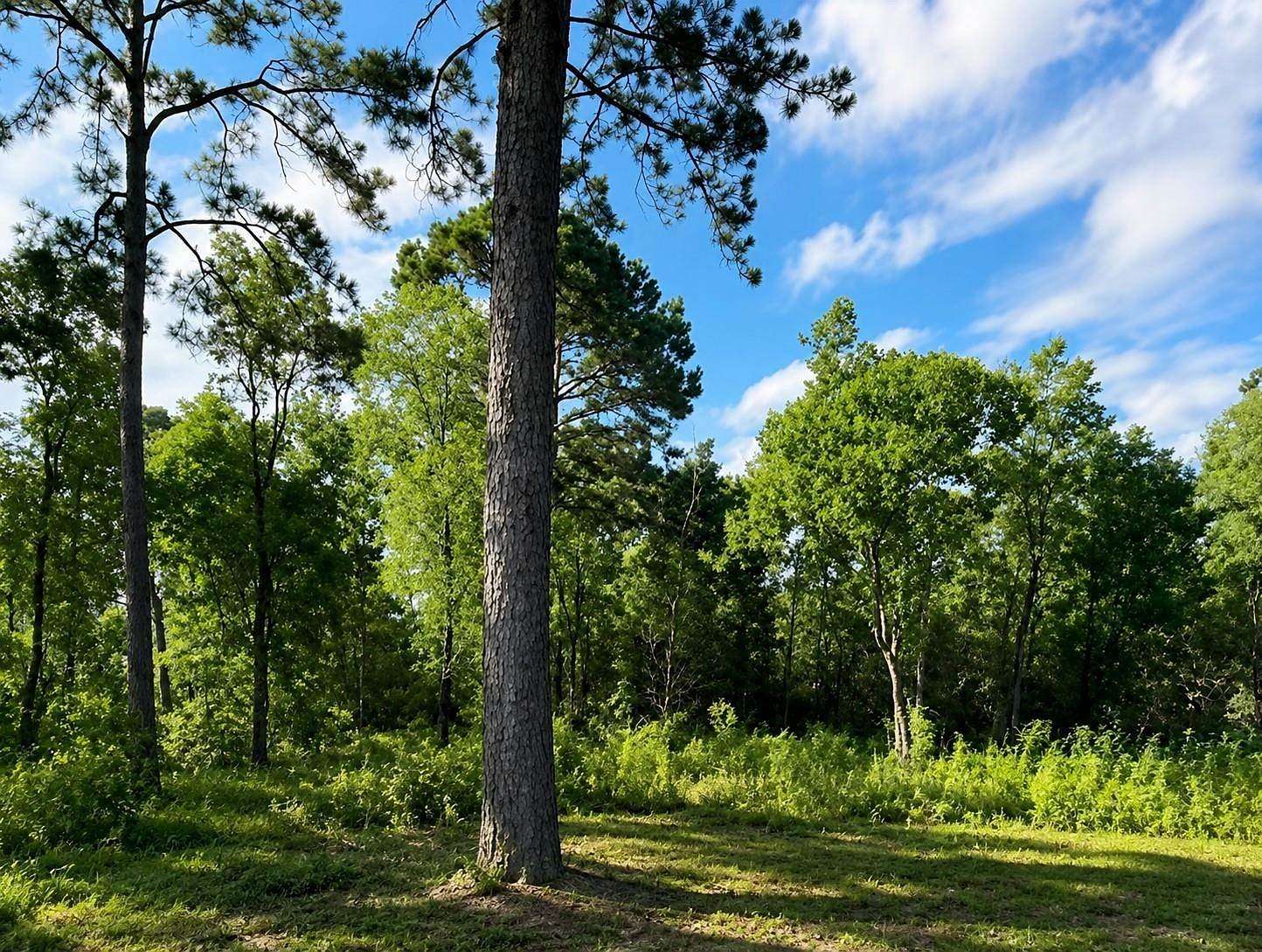 4.33 Acres of Residential Land for Sale in Liberty, Texas