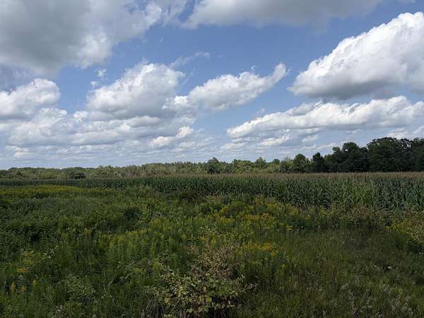 60 Acres of Land for Sale in Clayton, Wisconsin