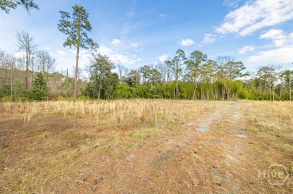 2.58 Acres of Commercial Land for Sale in Rincon, Georgia