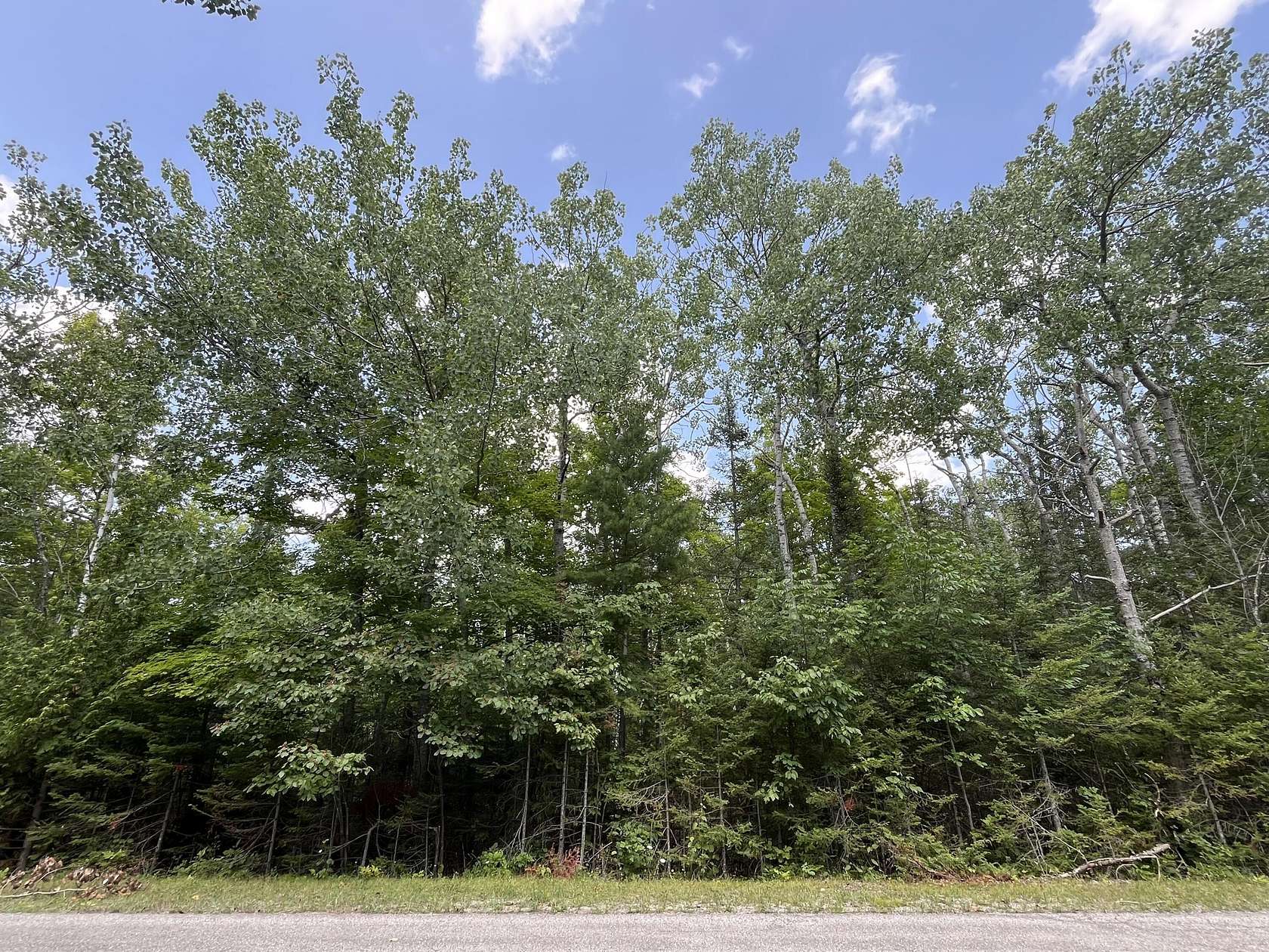 0.33 Acres of Residential Land for Sale in Presque Isle, Michigan