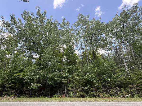 0.33 Acres of Residential Land for Sale in Presque Isle, Michigan