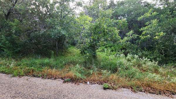 0.17 Acres of Residential Land for Sale in Granbury, Texas