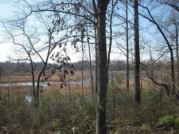 133 Acres of Land for Sale in Ben Wheeler, Texas