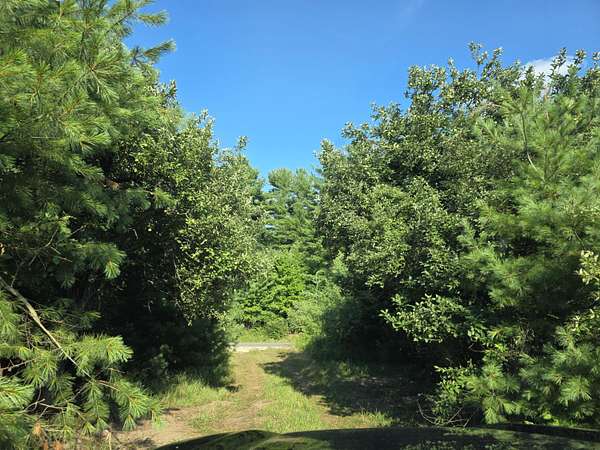 40 Acres of Land for Sale in Stanwood, Michigan