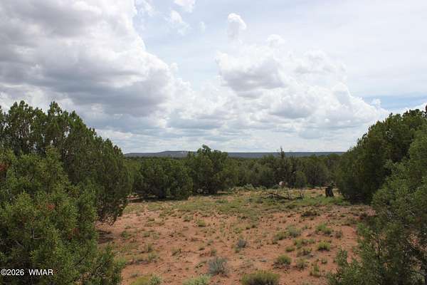 40.5 Acres of Recreational Land for Sale in Concho, Arizona