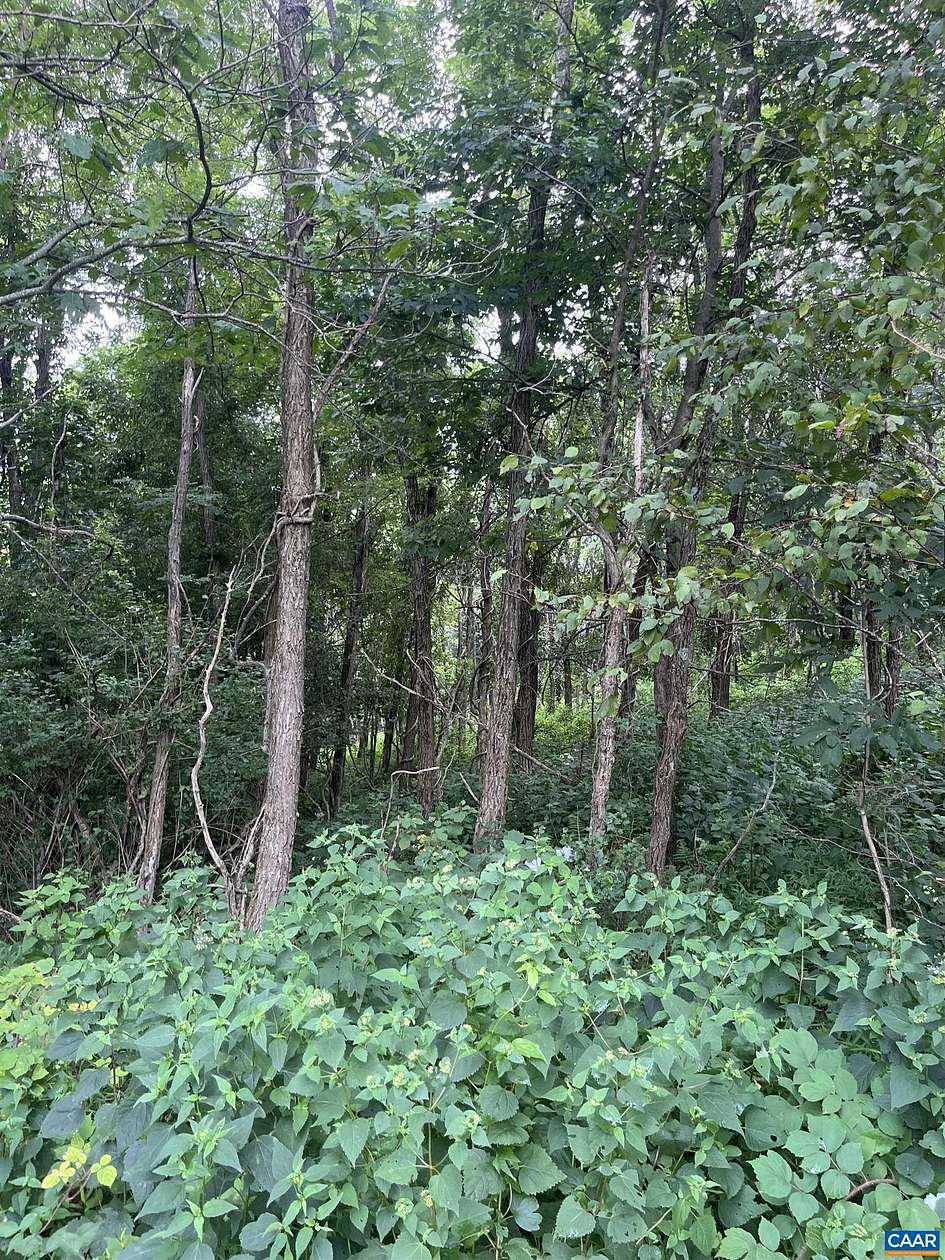 5 Acres of Commercial Land for Sale in Free Union, Virginia