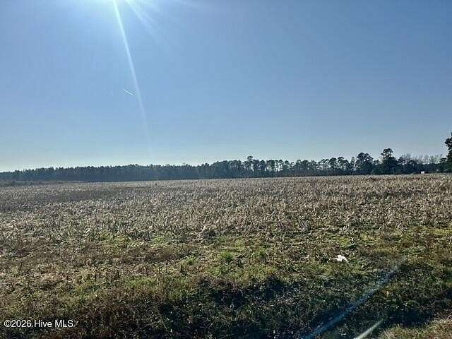 34 Acres of Recreational & Residential Land for Sale in Chadbourn, North Carolina