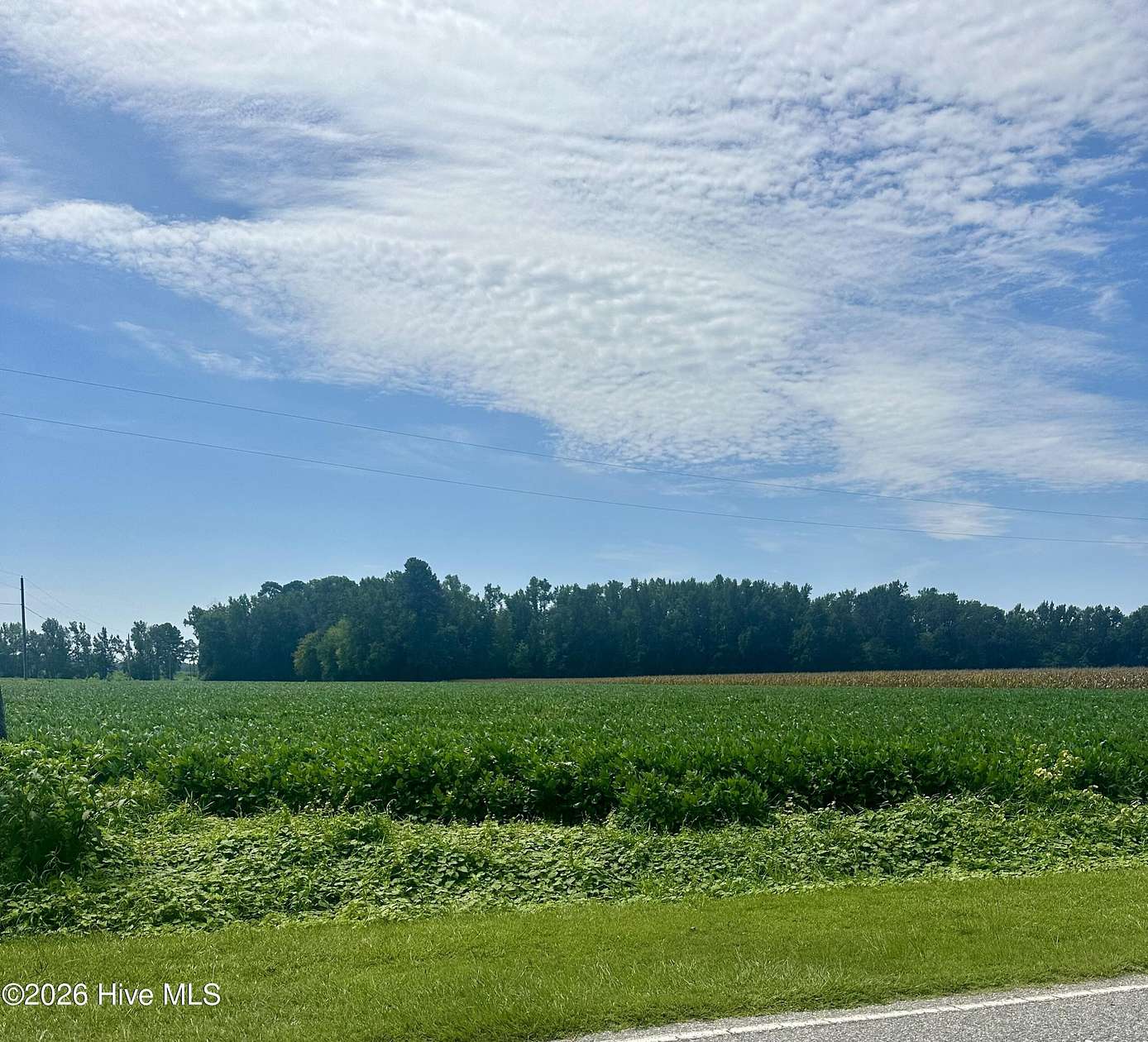 34 Acres of Recreational & Residential Land for Sale in Chadbourn, North Carolina