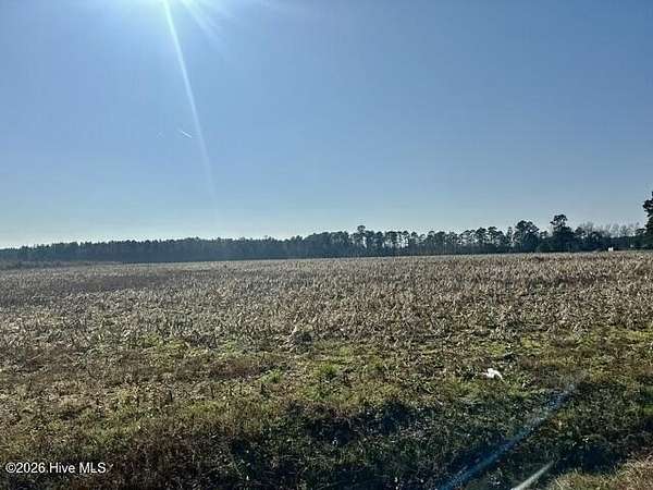 34 Acres of Recreational & Residential Land for Sale in Chadbourn, North Carolina