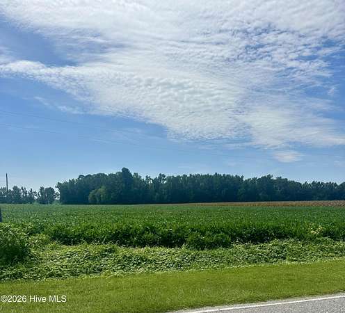 34 Acres of Recreational & Residential Land for Sale in Chadbourn, North Carolina
