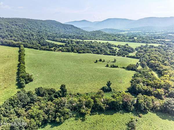 64 Acres of Land for Sale in Pikeville, Tennessee