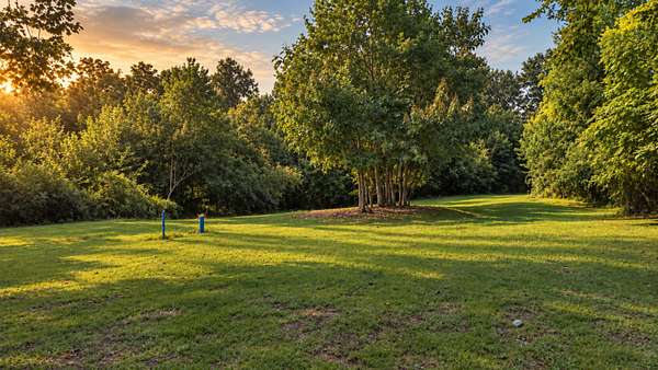6.83 Acres of Residential Land for Sale in Springfield, Tennessee
