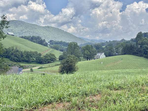 0.68 Acres of Residential Land for Sale in Butler, Tennessee