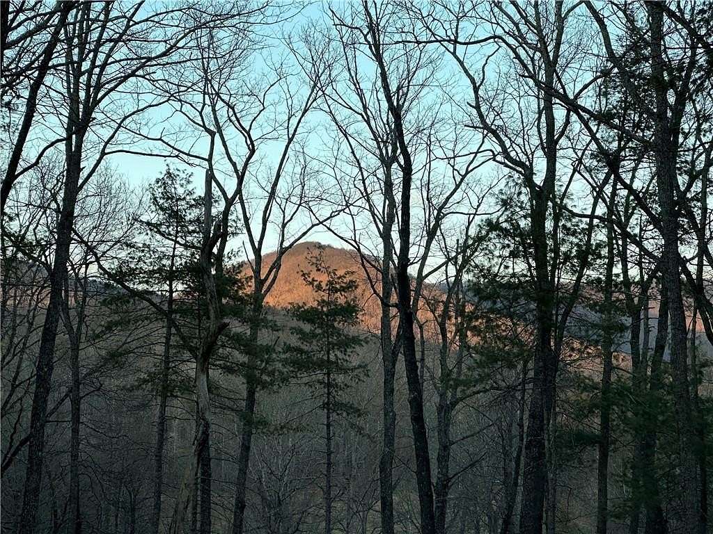 1 Acre of Residential Land for Sale in Dahlonega, Georgia