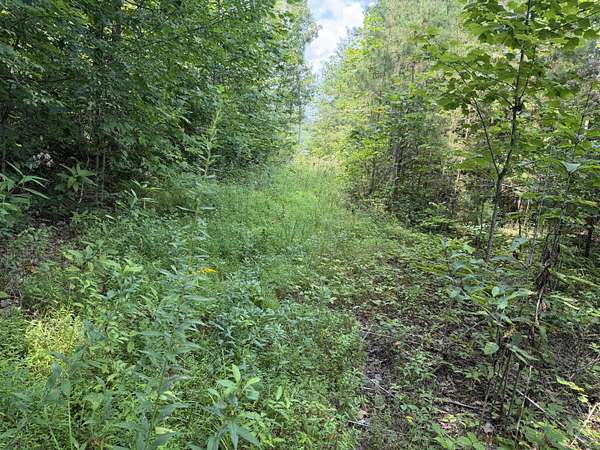 5.13 Acres of Land for Sale in Monticello, Kentucky