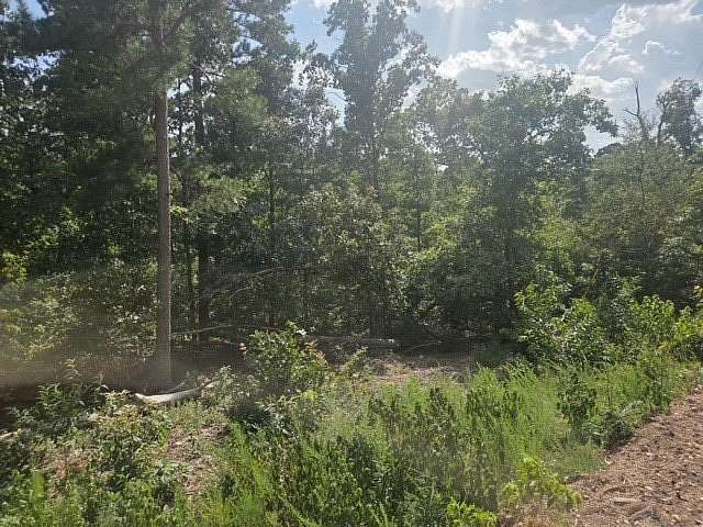 0.32 Acres of Residential Land for Sale in Bella Vista, Arkansas