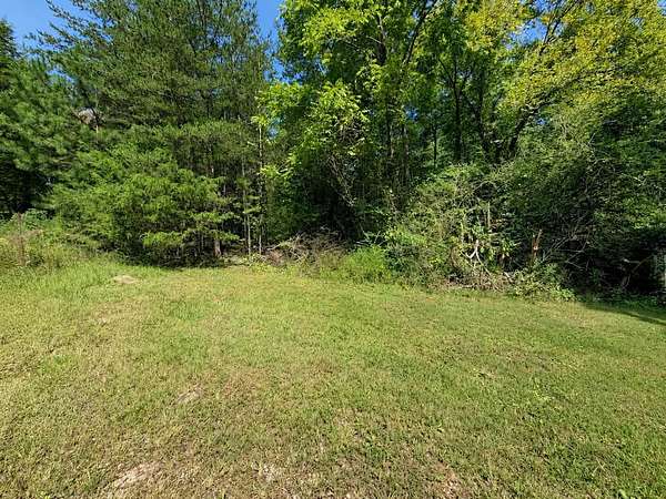 25.2 Acres of Land for Sale in Dayton, Tennessee