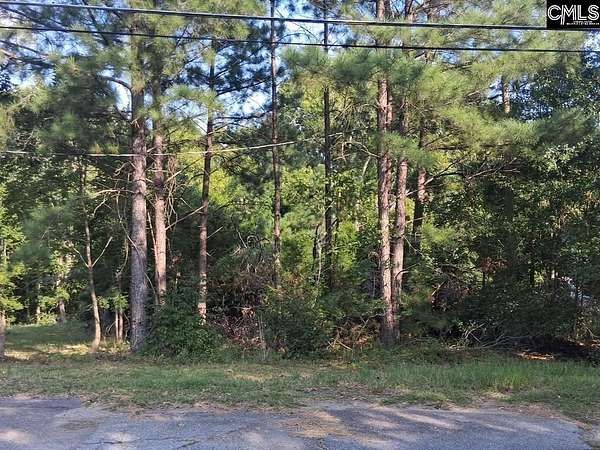 1 Acre of Land for Sale in Whitmire, South Carolina