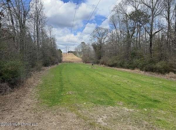 40 Acres of Recreational Land for Sale in Beaumont, Mississippi