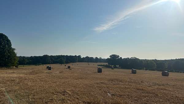 20 Acres of Agricultural & Residential Land for Sale in Ash Flat, Arkansas