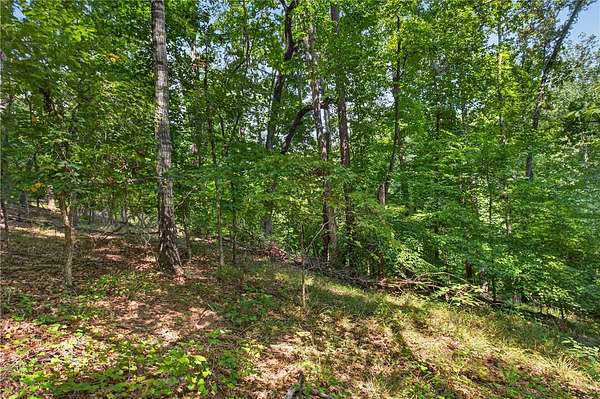 3.1 Acres of Land for Sale in Salem, South Carolina